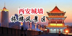 操逼免中国陕西-西安城墙旅游风景区